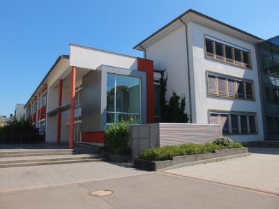 sauerwiss